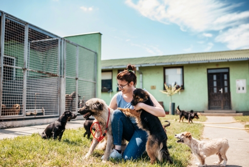 How to Start a Foster Program for Your Shelter A Step-by-Step Guide to Saving More Lives